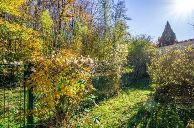 Grundstück kaufen in 2384 Breitenfurt (Bild 5)