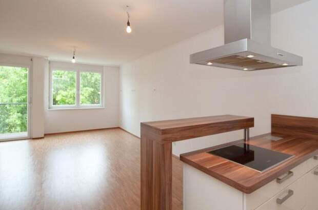 Terrassenwohnung mieten in 1190 Wien (Bild 2)