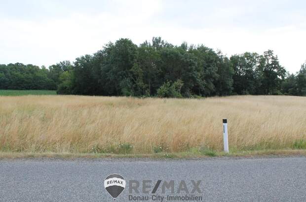 Grundstück kaufen in 2011 Sierndorf (Bild 1)