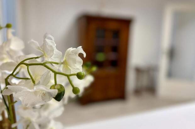 Gewerbeobjekt kaufen in 8724 Spielberg (Bild 1)