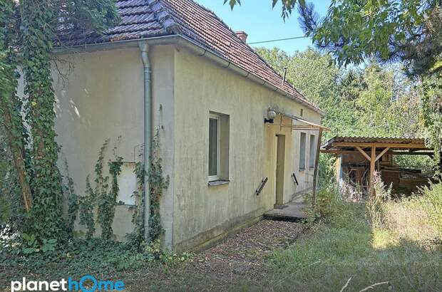 Einfamilienhaus kaufen in 7304 Großwarasdorf (Bild 1)
