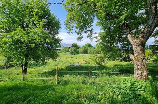 Grundstück kaufen in 9241 Wernberg (Bild 3)