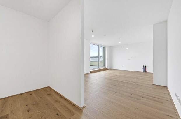 Terrassenwohnung kaufen in 2540 Bad Vöslau (Bild 5)