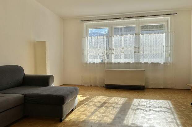 Terrassenwohnung kaufen in 8784 Trieben (Bild 3)