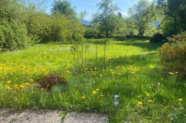 Haus kaufen in 4644 Scharnstein (Bild 2)