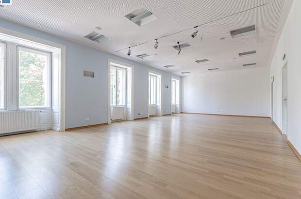 Gewerbeobjekt mieten in 1010 Wien (Bild 5)