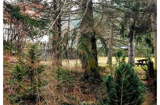 Grundstück kaufen in 3012 Wolfsgraben (Bild 4)