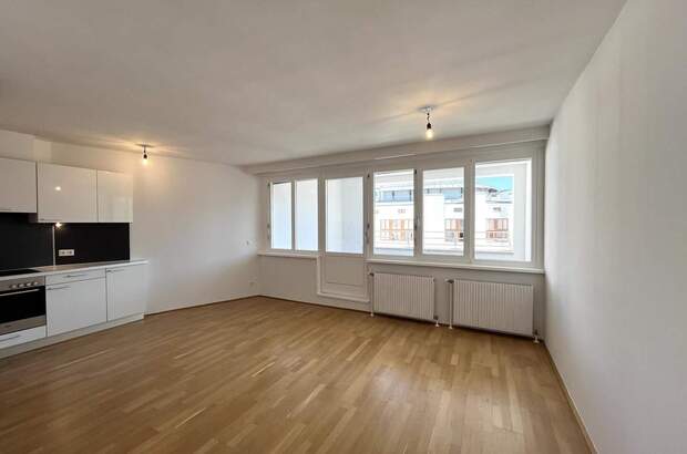 Wohnung mieten in 1010 Wien (Bild 1)