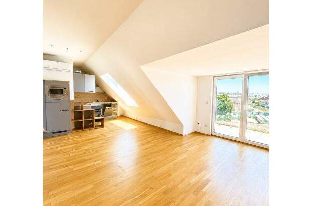 Terrassenwohnung kaufen in 1220 Wien (Bild 1)