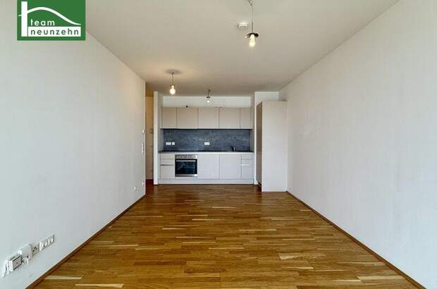 Terrassenwohnung mieten in 1140 Wien (Bild 2)