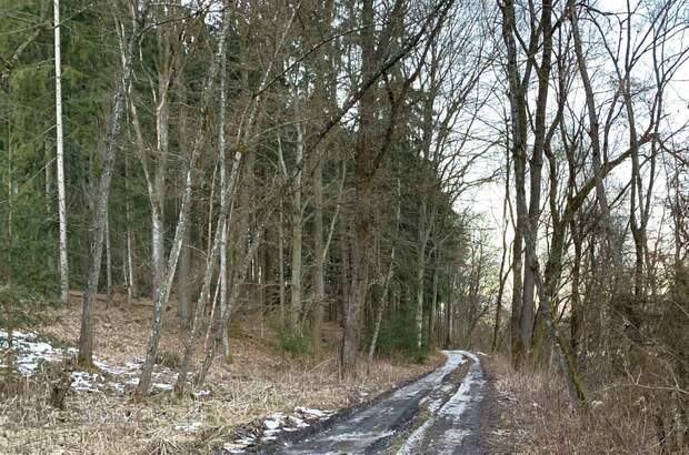 Grundstück kaufen in 8410 Weitendorf (Bild 5)