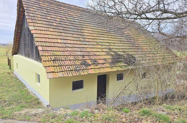 Haus kaufen in 8472 Spielfeld (Bild 3)