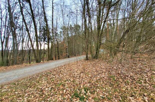 Grundstück kaufen in 8380 Grieselstein (Bild 3)