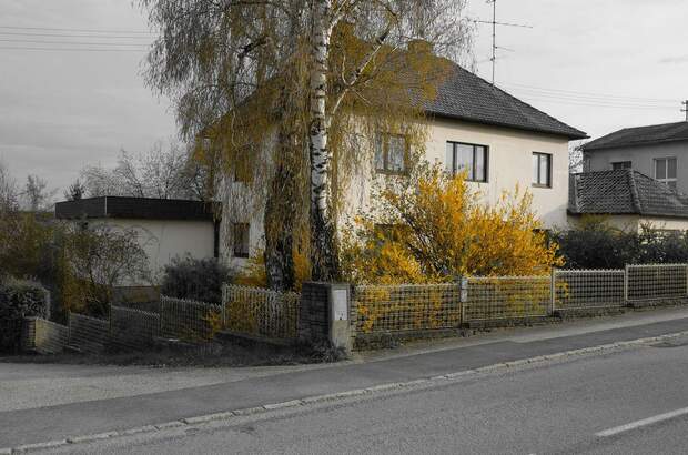 Haus mit Garten kaufen in 4622 Eggendorf (Bild 1)