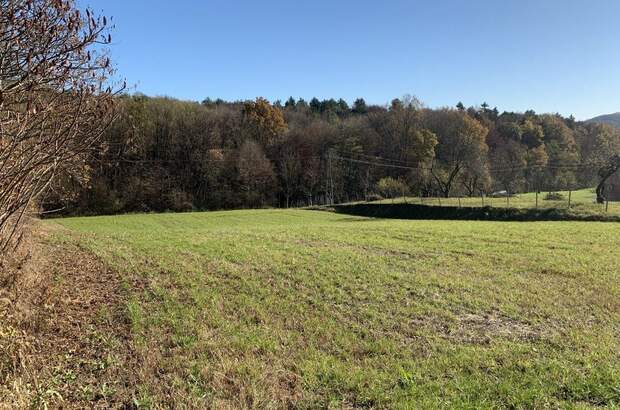 Grundstück kaufen in 8380 Jennersdorf (Bild 5)