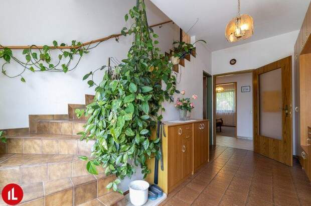 Mehrfamilienhaus kaufen in 2351 Wr. Neudorf (Bild 5)