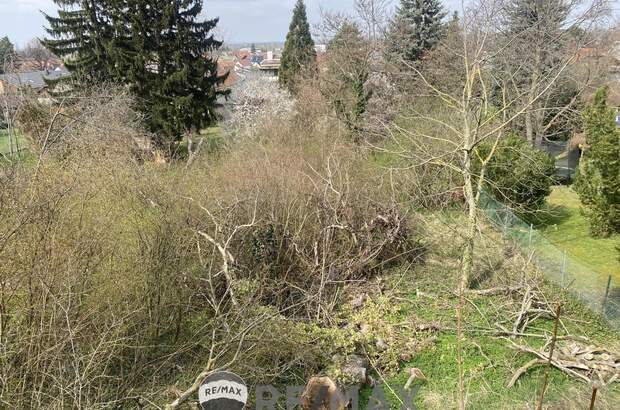 Grundstück kaufen in 3433 Königstetten (Bild 2)