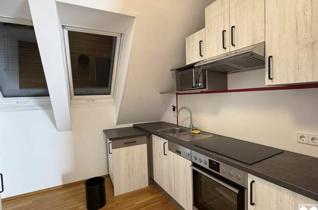 Gewerbeobjekt mieten in 3712 Maissau (Bild 4)