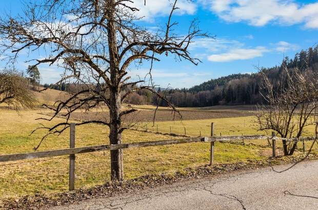 Haus mit Garten kaufen in 9063 Maria Saal (Bild 2)