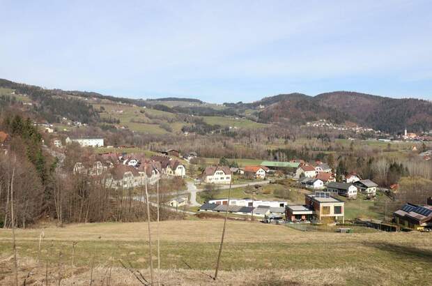 Grundstück kaufen in 8591 Maria Lankowitz (Bild 1)