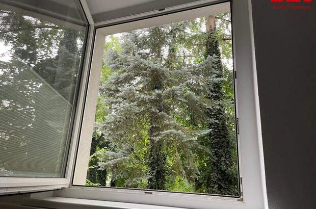 Büro / Praxis kaufen in 5020 Salzburg (Bild 3)