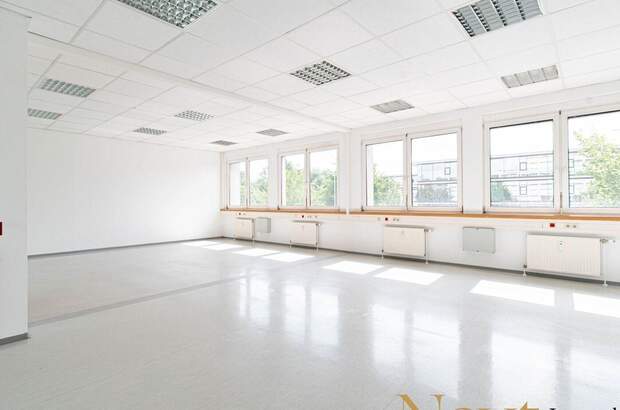 Gewerbeobjekt mieten in 4600 Wels (Bild 3)
