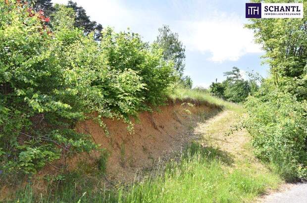 Grundstück kaufen in 8046 Graz (Bild 5)