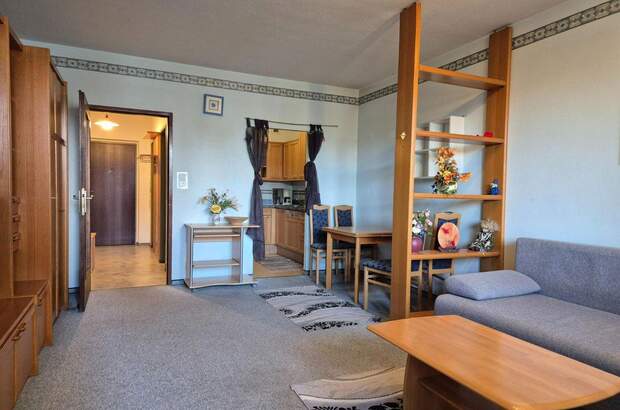 Terrassenwohnung mieten in 3500 Krems (Bild 2)