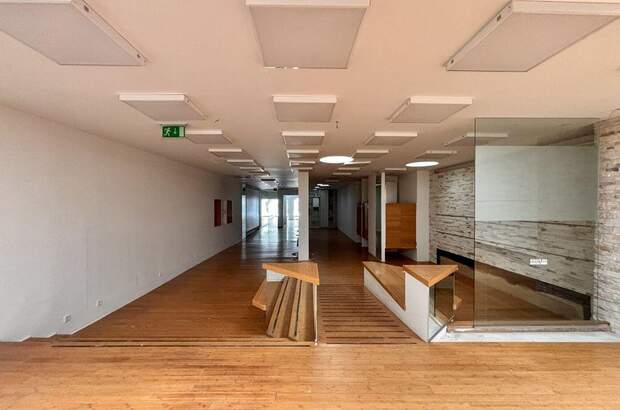 Gewerbeobjekt mieten in 2700 Wiener Neustadt (Bild 4)