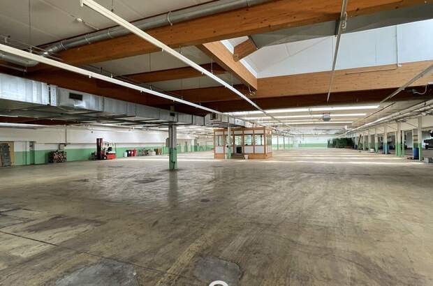 Gewerbeobjekt mieten in 4881 Straß (Bild 2)