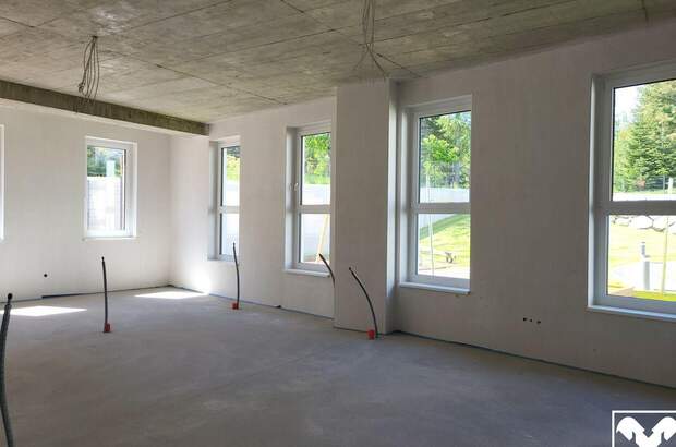 Gewerbeobjekt mieten in 4063 Hörsching (Bild 2)