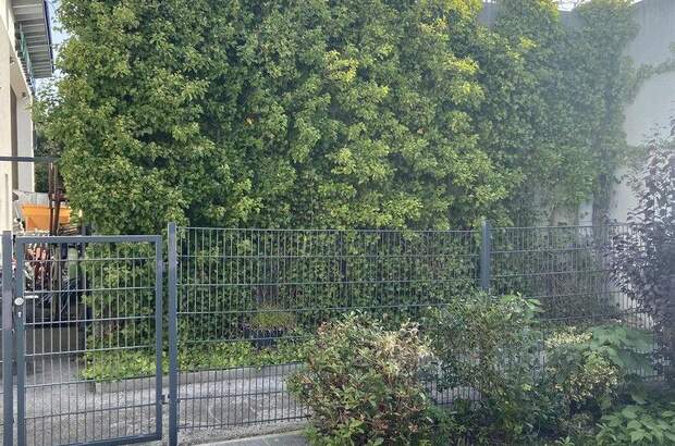 Lager kaufen in 5322 Hof (Bild 5)