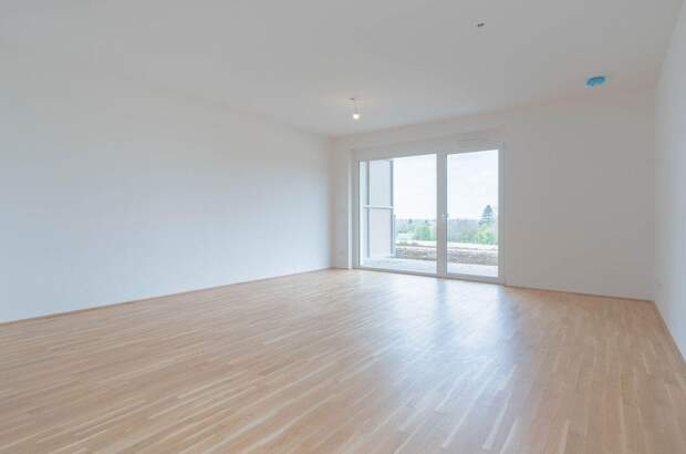 Wohnung mieten in 4643 Pettenbach (Bild 2)