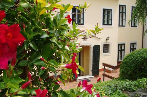 Gewerbeobjekt kaufen in 9400 Ödenburg (Bild 5)