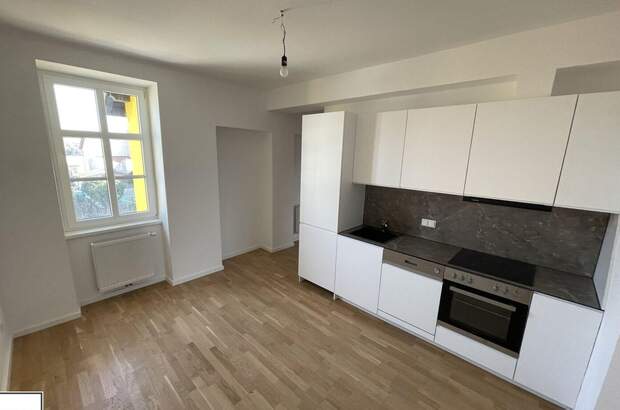 Altbauwohnung mieten in 2540 Bad Vöslau (Bild 1)