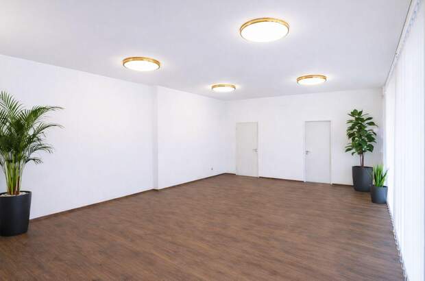 Gewerbeobjekt mieten in 4600 Wels (Bild 2)