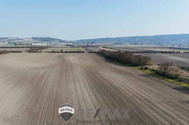 Grundstück kaufen in 2100 Bisamberg (Bild 5)