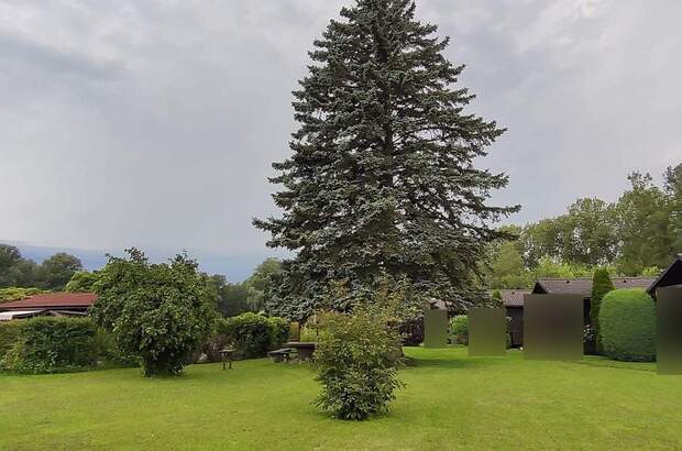 Haus mit Garten kaufen in 4072 Alkoven (Bild 2)