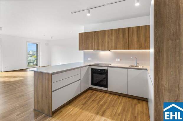Terrassenwohnung mieten in 1200 Wien (Bild 1)