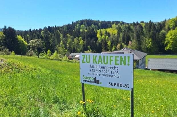 Grundstück kaufen in 4656 Kirchham (Bild 1)