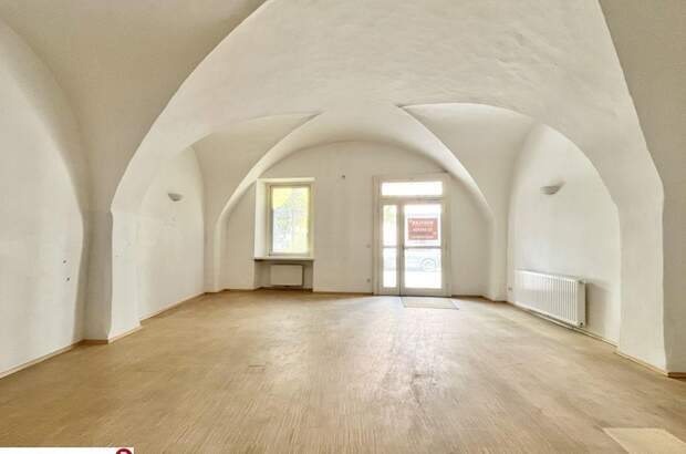 Gewerbeobjekt mieten in 2340 Mödling (Bild 1)