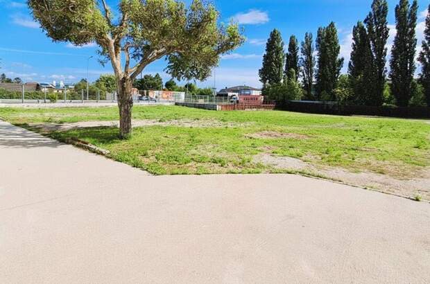 Gewerbeobjekt kaufen in 2353 Guntramsdorf (Bild 5)