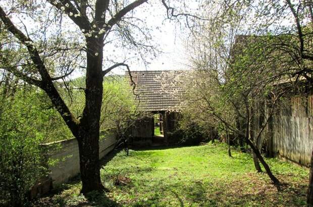 Haus mit Garten kaufen in 7371 Unterrabnitz (Bild 4)