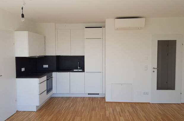 Terrassenwohnung mieten in 1220 Wien (Bild 3)