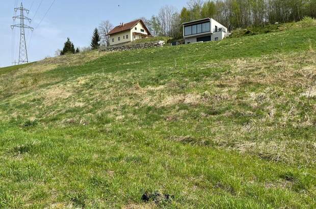 Grundstück kaufen in 8661 Sankt Barbara (Bild 3)