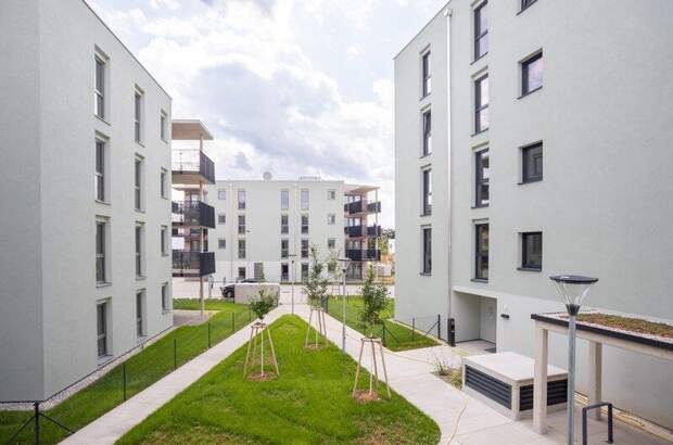 Terrassenwohnung kaufen in 2700 Wr. Neustadt (Bild 2)