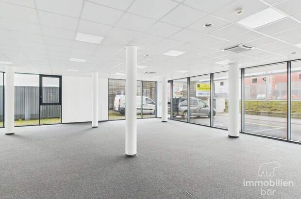 Gewerbeobjekt mieten in 4061 Pasching (Bild 2)