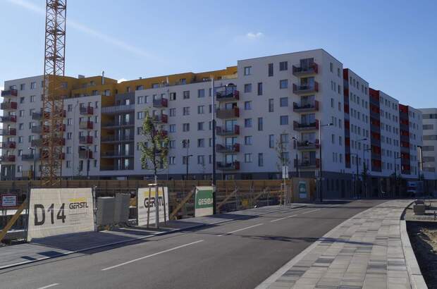 Einzelhandel mieten in 1220 Wien (Bild 2)