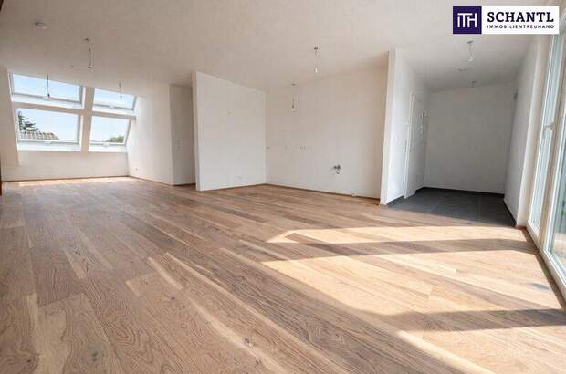 Terrassenwohnung kaufen in 2514 Traiskirchen (Bild 4)