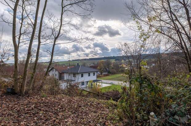 Grundstück kaufen in 4624 Pennewang (Bild 1)